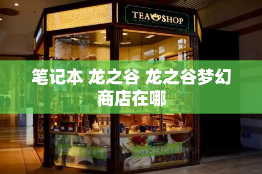 笔记本 龙之谷 龙之谷梦幻商店在哪-第1张图片-星选测评