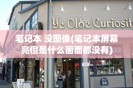 笔记本 没图像(笔记本屏幕亮但是什么画面都没有)-第1张图片-星选测评