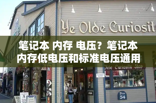 笔记本 内存 电压？笔记本内存低电压和标准电压通用吗-第1张图片-星选测评