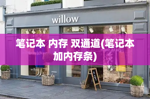 笔记本 内存 双通道(笔记本加内存条)-第1张图片-星选测评