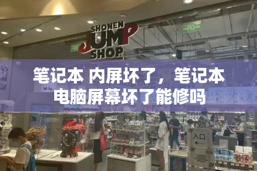 笔记本 内屏坏了，笔记本电脑屏幕坏了能修吗-第1张图片-星选测评
