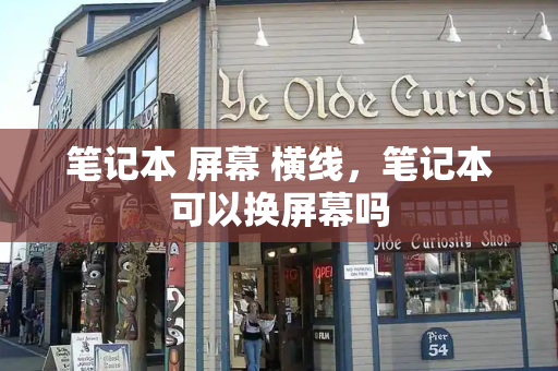 笔记本 屏幕 横线，笔记本可以换屏幕吗