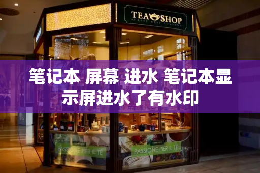 笔记本 屏幕 进水 笔记本显示屏进水了有水印-第1张图片-星选测评