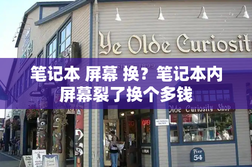 笔记本 屏幕 换？笔记本内屏幕裂了换个多钱-第1张图片-星选测评