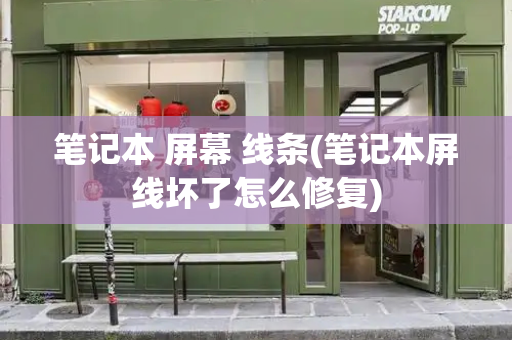 笔记本 屏幕 线条(笔记本屏线坏了怎么修复)