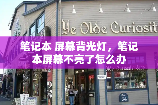 笔记本 屏幕背光灯，笔记本屏幕不亮了怎么办-第1张图片-星选测评