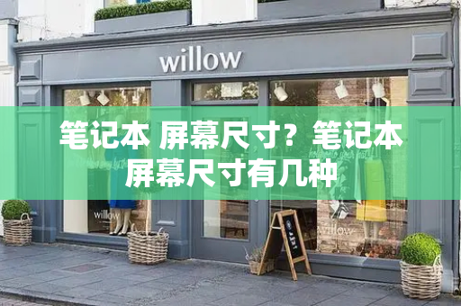 笔记本 屏幕尺寸？笔记本屏幕尺寸有几种-第1张图片-星选测评