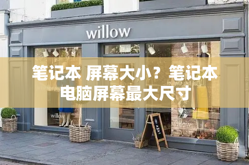 笔记本 屏幕大小？笔记本电脑屏幕最大尺寸-第1张图片-星选测评