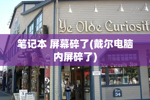 笔记本 屏幕碎了(戴尔电脑内屏碎了)-第1张图片-星选测评