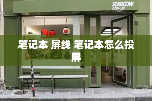 笔记本 屏线 笔记本怎么投屏-第1张图片-星选测评