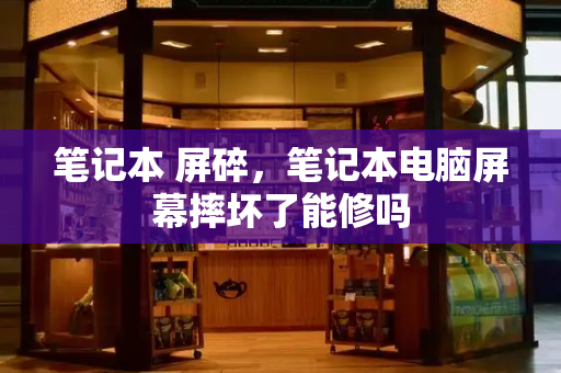 笔记本 屏碎，笔记本电脑屏幕摔坏了能修吗-第1张图片-星选测评