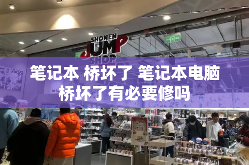 笔记本 桥坏了 笔记本电脑桥坏了有必要修吗