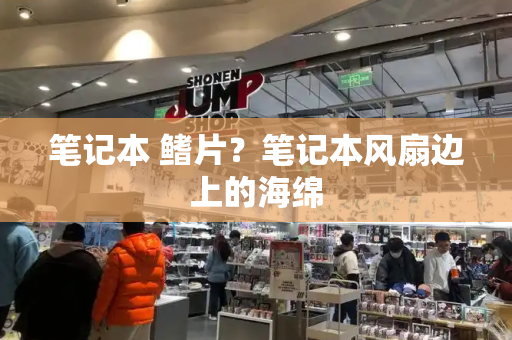 笔记本 鳍片？笔记本风扇边上的海绵