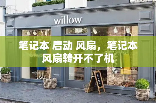 笔记本 启动 风扇，笔记本风扇转开不了机-第1张图片-星选测评
