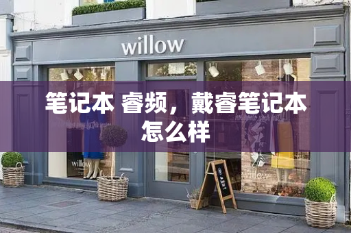 笔记本 睿频，戴睿笔记本怎么样