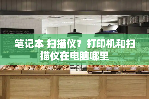 笔记本 扫描仪？打印机和扫描仪在电脑哪里