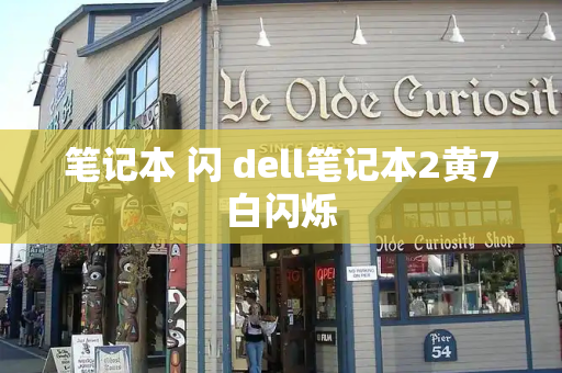 笔记本 闪 dell笔记本2黄7白闪烁-第1张图片-星选测评