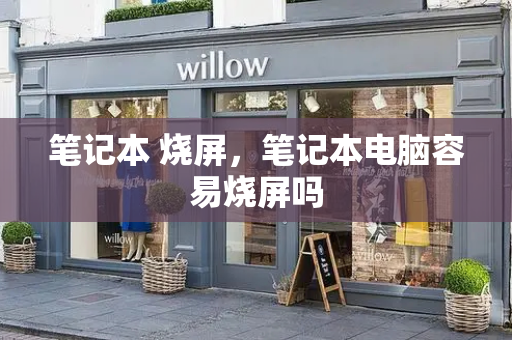 笔记本 烧屏，笔记本电脑容易烧屏吗-第1张图片-星选测评