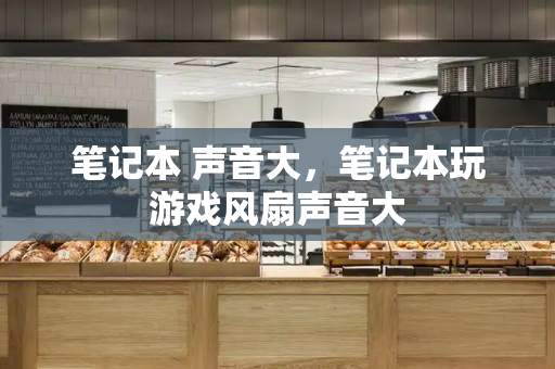 笔记本 声音大，笔记本玩游戏风扇声音大