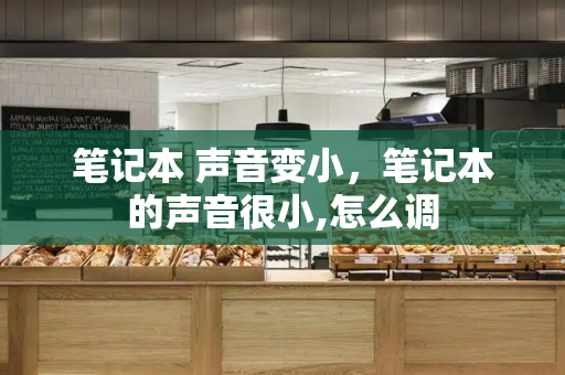 笔记本 声音变小，笔记本的声音很小,怎么调