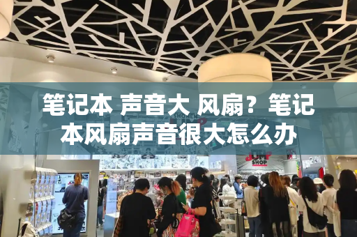 笔记本 声音大 风扇？笔记本风扇声音很大怎么办