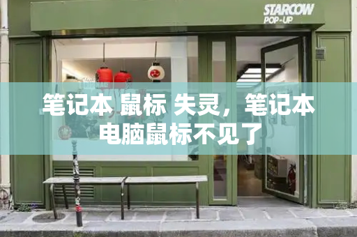 笔记本 鼠标 失灵，笔记本电脑鼠标不见了