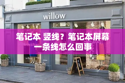 笔记本 竖线？笔记本屏幕一条线怎么回事-第1张图片-星选测评