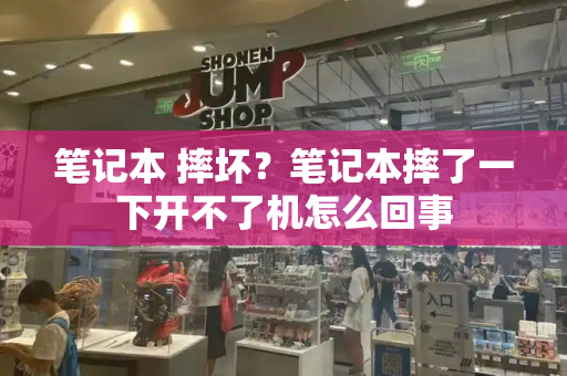 笔记本 摔坏？笔记本摔了一下开不了机怎么回事-第1张图片-星选测评