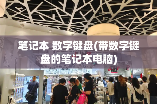 笔记本 数字键盘(带数字键盘的笔记本电脑)