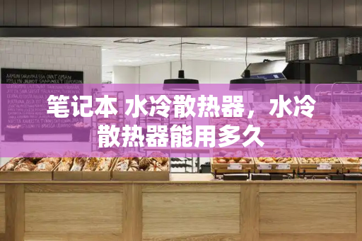 笔记本 水冷散热器，水冷散热器能用多久-第1张图片-星选测评