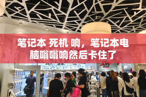 笔记本 死机 响，笔记本电脑嗡嗡响然后卡住了