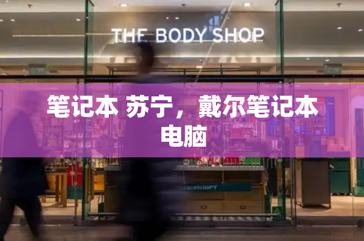 笔记本 苏宁，戴尔笔记本电脑