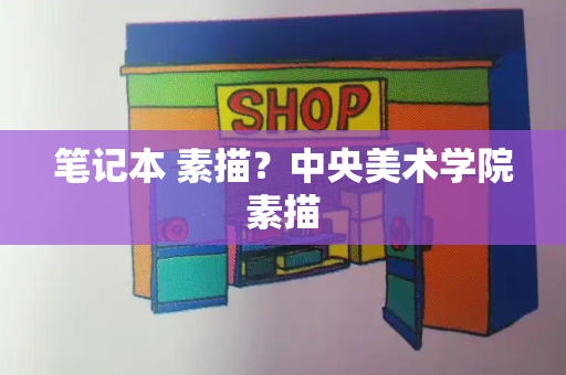笔记本 素描？中央美术学院素描-第1张图片-星选测评