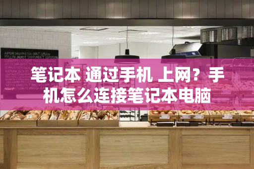 笔记本 通过手机 上网？手机怎么连接笔记本电脑-第1张图片-星选测评