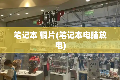 笔记本 铜片(笔记本电脑放电)