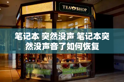 笔记本 突然没声 笔记本突然没声音了如何恢复