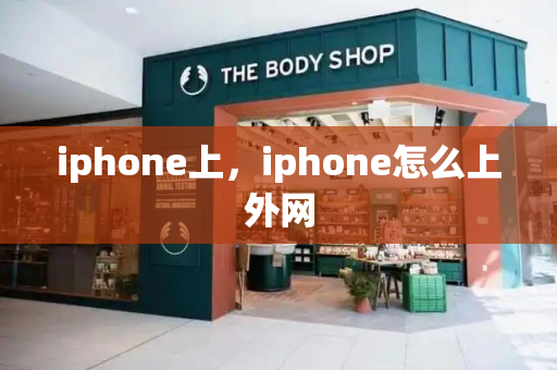iphone上，iphone怎么上外网-第1张图片-星选测评