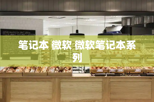 笔记本 微软 微软笔记本系列