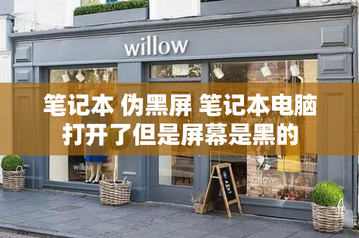 笔记本 伪黑屏 笔记本电脑打开了但是屏幕是黑的-第1张图片-星选测评