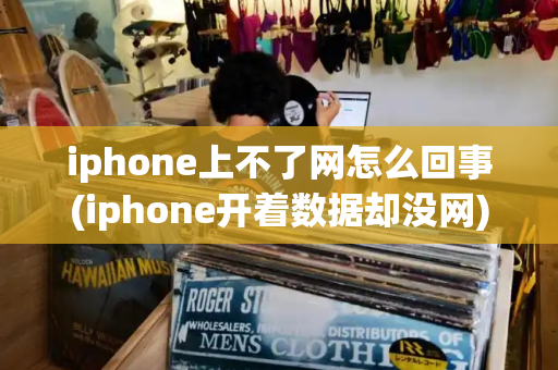 iphone上不了网怎么回事(iphone开着数据却没网)-第1张图片-星选测评