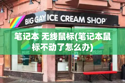 笔记本 无线鼠标(笔记本鼠标不动了怎么办)