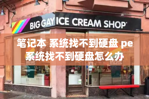 笔记本 系统找不到硬盘 pe系统找不到硬盘怎么办