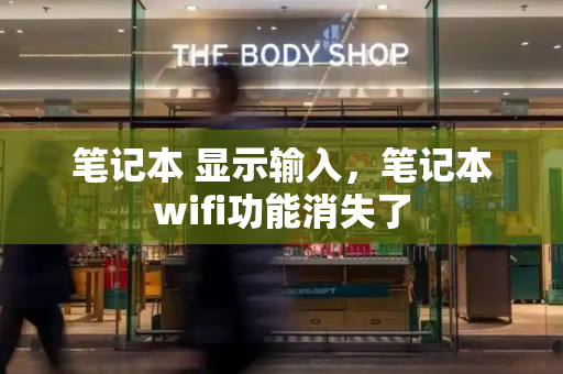 笔记本 显示输入，笔记本wifi功能消失了-第1张图片-星选测评