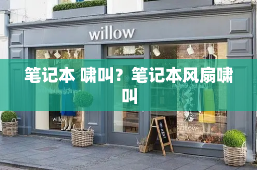 笔记本 啸叫？笔记本风扇啸叫