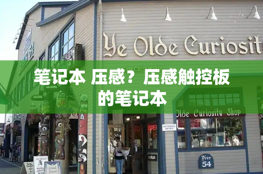 笔记本 压感？压感触控板的笔记本
