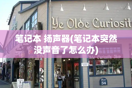 笔记本 扬声器(笔记本突然没声音了怎么办)