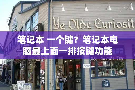 笔记本 一个键？笔记本电脑最上面一排按键功能-第1张图片-星选测评