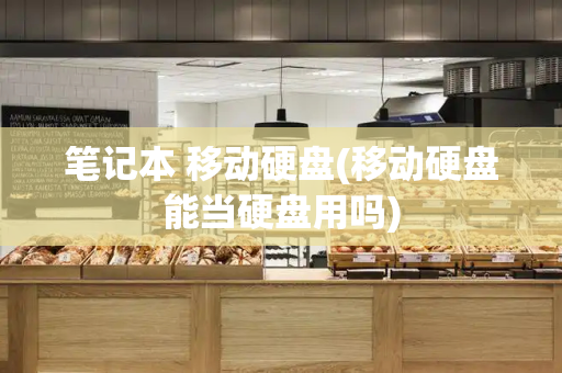 笔记本 移动硬盘(移动硬盘能当硬盘用吗)-第1张图片-星选测评