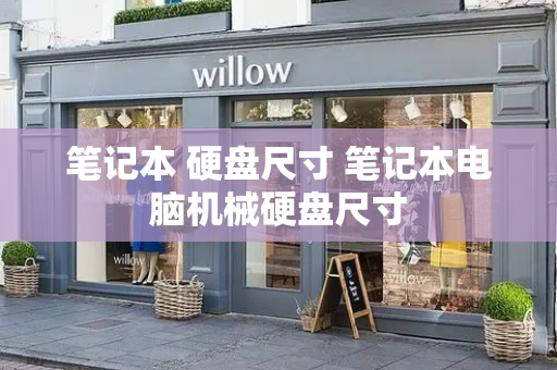 笔记本 硬盘尺寸 笔记本电脑机械硬盘尺寸