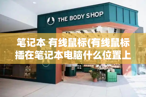 笔记本 有线鼠标(有线鼠标插在笔记本电脑什么位置上)